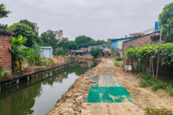 东莞高埗：清除障碍，提高河道整体防洪能力